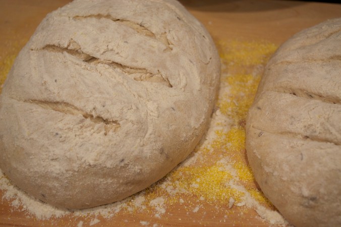 Rye Bread8
